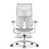 Sihoo Doro S100 GREY