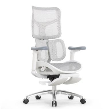Sihoo Doro S100 GREY