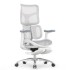 Sihoo Doro S100 GREY