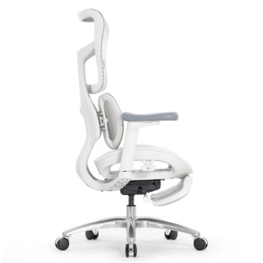 Sihoo Doro S100 GREY