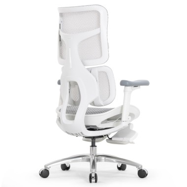 Sihoo Doro S100 GREY