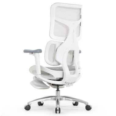 Sihoo Doro S100 GREY