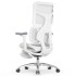 Sihoo Doro S100 GREY