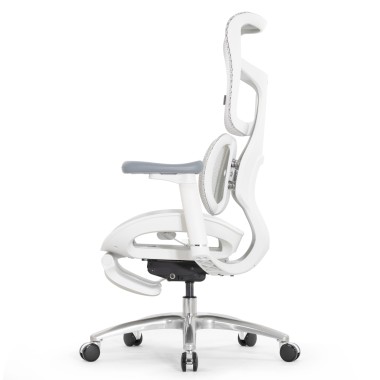 Sihoo Doro S100 GREY