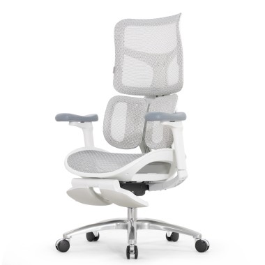 Sihoo Doro S100 GREY