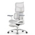 Sihoo Doro S100 GREY