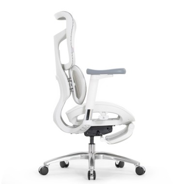 Sihoo Doro S100 GREY