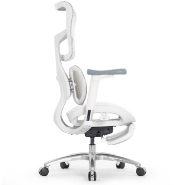 Sihoo Doro S100 GREY