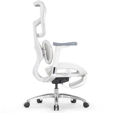 Sihoo Doro S100 GREY