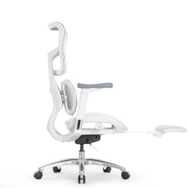 Sihoo Doro S100 GREY