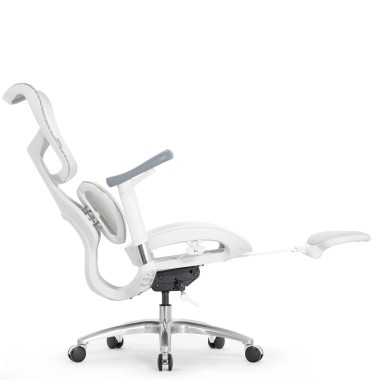 Sihoo Doro S100 GREY