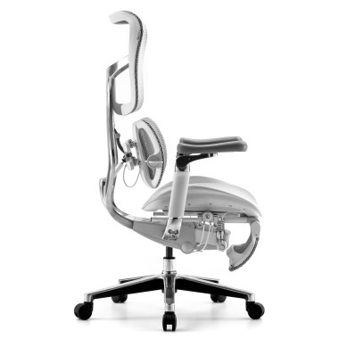 Sihoo Doro S300 WHITE