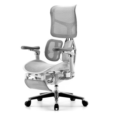 Sihoo Doro S300 WHITE