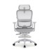 Sihoo B100 GRAY